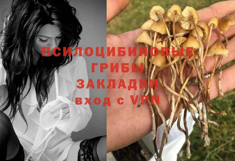 Галлюциногенные грибы MAGIC MUSHROOMS  blacksprut вход  Кириши 